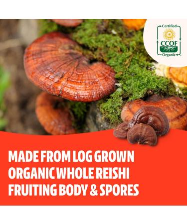 FreshCap Adaptogen Bundle (Reishi Capsules and Cordyceps Capsules) - Buy Online on GoSupps.com