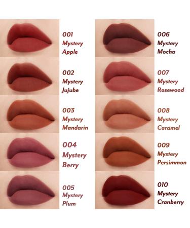 I'M MEME Lip Gloss - Mystery Blur Tint | Highly Pigmented Velvet Finish | Hydrating Creamy Formula | 009 Mystery Persimmon, 0.10 Oz - Buy Online on GoSupps.com