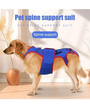 Small Dog Back Brace Spinal Support | Pet Support and Rehab Harness Soft Hip Leg Support D-Ring and Reflective Strips Back Protector Support Helps Hurt Relief Dogs Back - Buy Online on GoSupps.com