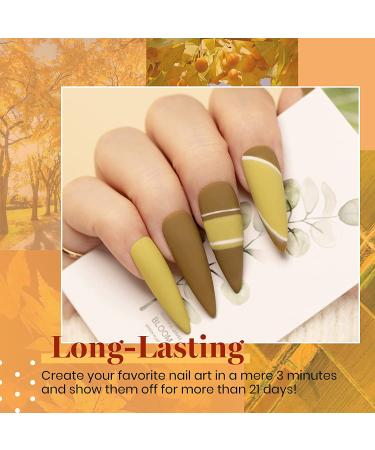 Beetles 20 Pcs Fall Winter Gel Nail Polish Kit - Red Yellow Orange Green Gel Polish Set with Glossy & Matte Finish - Soak Off, with Top & Base Coat - Nail Lamp Required - Perfect Gift for Christmas & Mother's Day - Buy Online on GoSupps.com