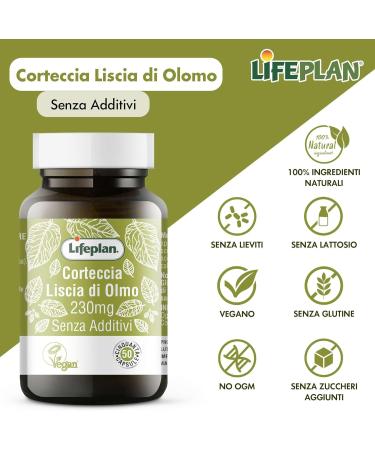  ALGILIFE LIFEPLAN Smooth Elm Bark | Useful Dietary Supplement for Mucosal Trofirm | Intimate Dryness | Gastritis | Dry Mouth | Vegan Product (50 Capsules 1 Month Stock) - Buy Online on GoSupps.com