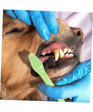 GANAZONO 3 Sets Pet Toothbrush Toothpaste for Dogs Green Dog Toothbrush Pet Mouth Cleaning Tool Tools Pp - Buy Online on GoSupps.com