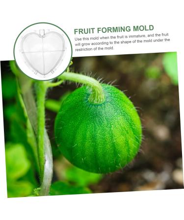 OKUMEYR Heart Shaped Watermelon Molds Gardening Fruit Molds Vegetable Forming Mold Stereotypes Shaper - Buy Online on GoSupps.com