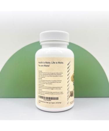 Tiger Milk Mushroom Supplement (Lignosus Rhinocerus) 60 Capsules | Supports Lungs & Respiratory Health - Herbal Extract - Non-GMO Vegan Organic | 60 Servings - Buy Online on GoSupps.com