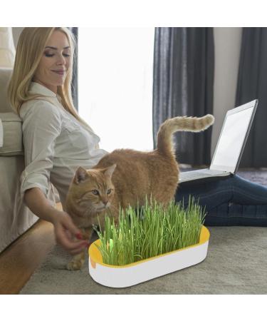 Buy Hydroculture Cat Grass Set - Mess-Free No Dirt Easy to Grow Anti-Grave Design for Happy Cats! - Buy Online on GoSupps.com