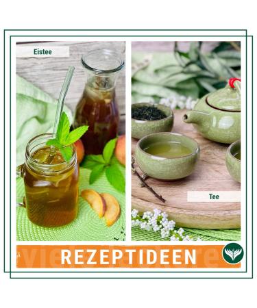 Azafran Organic Sencha Uchiyama Green Tea - Authentic Japanese 500g Pack for International Shipping - Buy Online on GoSupps.com