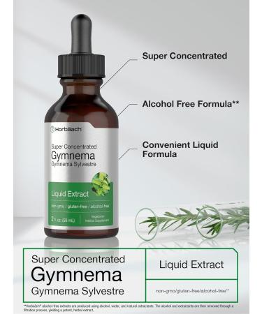 Horb ach Gymnema Sylvestre Liquid Extract | 2 fl oz | Alcohol Free Drops | Super Concentrated Supplement Tincture | Vegetarian Non-GMO Gluten Free - Buy Online on GoSupps.com