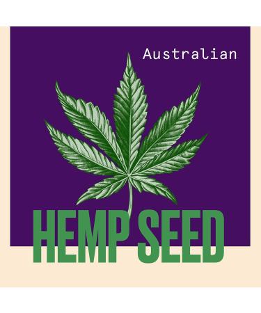 Sleep Glow Repeat. Olay + Aussie Giftset. Olay Retinol24 Night Moisturiser 50ml + Aussie Calm the Frizz Hair Mask with Cap 20ml - Buy Online on GoSupps.com