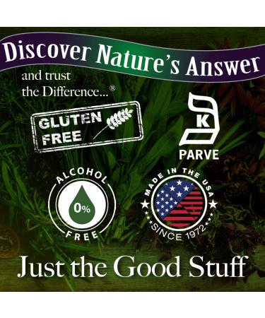 Nature's Answer Milk Thistle 2000 mg Alcohol-Free - 1 fl oz | Herbal Liver Support - Buy Online on GoSupps.com