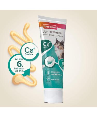 BEAPHAR Junior Paste for Cats (6 Weeks+) | With Calcium & Taurine | Supports Growth | 0% Added Sugar | 100g - Buy Online Now! - Buy Online on GoSupps.com