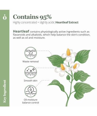ONGREDIENTS Heartleaf 95% Sheet Mask - Soothing Moisturizing & Oil Control | Vegan Cruelty-Free Korean Face Mask for Sensitive Skin - 5 Pack - Buy Online on GoSupps.com