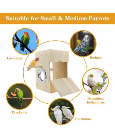 CooShou Parakeet Nest Box - Wooden Acrylic Transparent Breeding House for Lovebirds, Cockatiels, Budgies, Conures, Parrots - Buy Online on GoSupps.com
