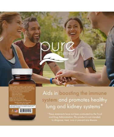 PURE ESSENCE LABS MyPure Cordyceps 4X Mushrooms - Concentrated Cordyceps Mushroom Powder Supplements for Immune System, Stress Response, Physical & Mental Performance - 2 Months Supply 60 Count (Pack of 1) - Buy Online on GoSupps.com