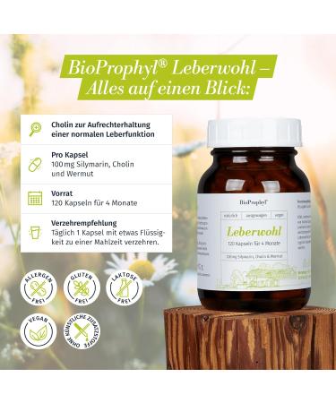Bioprophyl Liver Good 100 mg - Choline & Silymarin for Healthy Liver Support | 120 Capsules | International Shipping - Buy Online on GoSupps.com