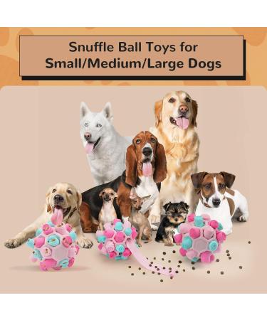 Shop Larimuer Sniffing Ball for Dogs - Interactive Snuffle Toy for Small & Medium Dogs | Portable Summer Pink Sniffing Car Toy - Buy Online on GoSupps.com