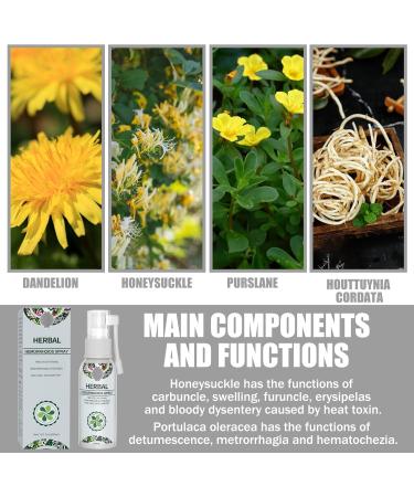 Herbal Hemorrhoids Spray - Natural Body Care Formula | 2 Bottles for International Shipping - Buy Online on GoSupps.com