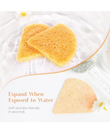 Compressed Flower-Shaped Facial Sponges - Yellow Exfoliating Sponges for Beauticians | International Shipping - Buy Online on GoSupps.com