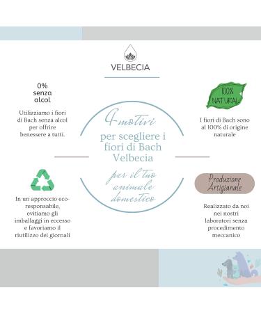 Velbecia - Dr Bach Flowers 30ml +1 FREE - ALCOHOL FREE - Stressed Animals - Soothes and calms your animal - Buy Online on GoSupps.com