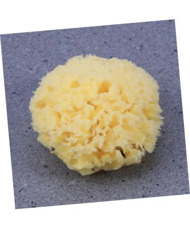 Healeved Bath Sponge Sponges Bath Shower Sponge Seaweed Sponge Natural Algae Sponge - Buy Online on GoSupps.com