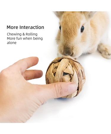 Small Animals Play Balls & Treats for Rabbits Guinea Pigs Chinchilla - Pack of 6 - Buy Online on GoSupps.com