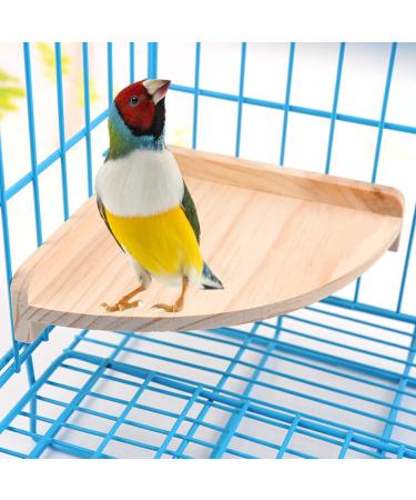 Mrli Pet Bird Perch Platform Stand Wood for Small Animals Parrot Parakeet Conure Cockatiel Budgie Gerbil Rat Mouse Chinchilla Hamster Cage Accessories Exercise Toys Sector 17x17 cm