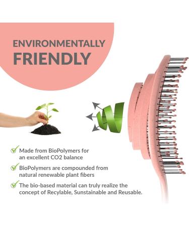 marQus Detangle Hair Brush | Ultra-Soft Bristles for All Hair Types | Glide Through Tangles Easily | Suitable for Men and Women | Wet and Dry Hair | Peach Color | 1pcs - Buy Online on GoSupps.com