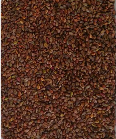 Grape seeds 2 kg loose for heat cushions grape bead pillow cushion Cold pillow filling grain pillows Kerne grain pillows Filling material grape seed bags foot massage hand massage occupational therapy physiotherapy