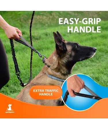 Buy Reflective Bungee Dog Leash for Large & Medium Dogs | Jerk Dampers & Elastic Walking Leash - Black - Buy Online on GoSupps.com