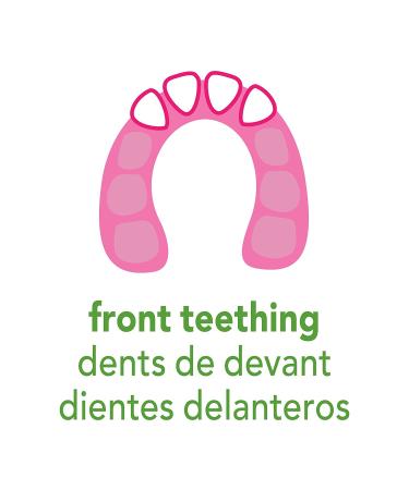 Green Sprouts Strawberry Cooling Teether for 3+ Months - Soothing Relief for Babies - Buy Online on GoSupps.com