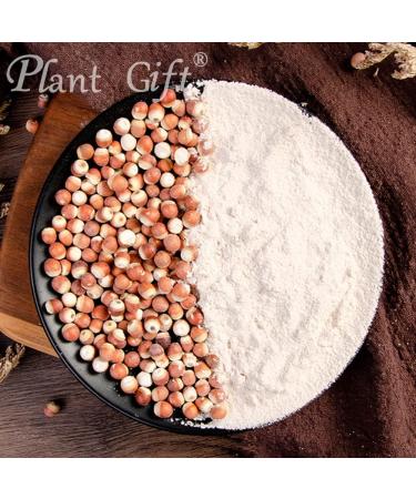 100% Pure Euryales Semen Powder Poudre naturelle de fruits Gorgon excellente saveur de boisson ar mes sains | Ajouter saveur et go t 100 g / 3 25 oz - Buy Online on GoSupps.com