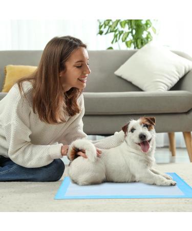 Super Absorbent Waterproof Dog Training Pads - 100 Count Extra Small 28 x 30 Hausbreaking Pet Pads - Ideal for Puppies - Blue XL 71x76cm - Buy Online on GoSupps.com