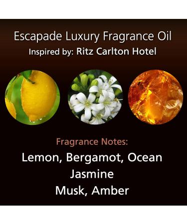 CEROD Escapade Fragrance Oil - Luxury Hotel Inspired Aromatherapy for Home & Office | 120mL Cold Air Diffuser Scents - Splash of Lemon Elegant Jasmine Ocean & Musk - Buy Online on GoSupps.com