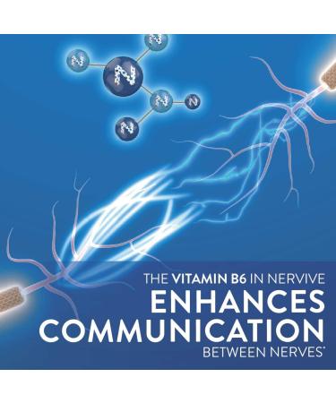Nervive Nerve Health with Alpha Lipoic Acid - Supports Healthy Nerve Function in Fingers, Hands, Toes & Feet - 60 Daily Tablets with ALA, Vitamins B12, B6 & B1 - Buy Online on GoSupps.com