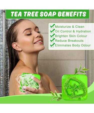 Antifungal Antibacterial Tea Tree Soap Organic Natural Soap Bar Handmade Tea Tree Loofah Soap for Face and Skin Scrub Tea Tree Soap Bar Antifungal Antibacterial Treatment Soap for Anti-Acne - Buy Online on GoSupps.com