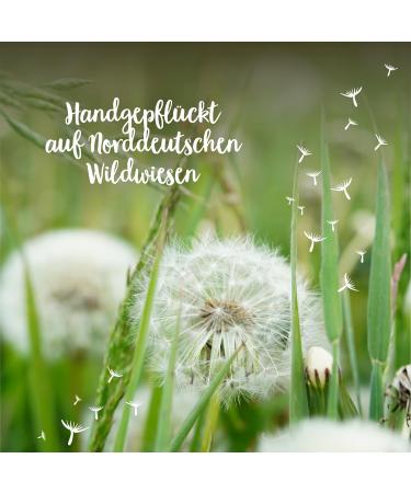City Gardeners Wunsch F ller - Handmade Small Pustblumen Umbrella | Perfect Birthday & Wedding Gift | Unique Lucky Glass from Germany - Buy Online on GoSupps.com