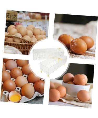 Housoutil Box Plastic Pallet Egg Holder Egg Trays for Deviled Eggs Egg Rack Crisper The Pet Gilded re-usable Transparent 26.5X16X10CM - Buy Online on GoSupps.com