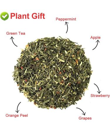 Plant Gift Strawberry Green Tea Oganic Fruit Herbal Tea All Natural Flavors Loose Leaf Apple Strawberry Orange Peel Grapes Peppermint Non GMO Vegan Tea Bags Into Iced Tea & Hot Tea 70G/2.5oz - Buy Online on GoSupps.com
