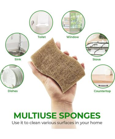 AIRNEX Biodegradable Natural Kitchen Sponge - Pack of 12 Eco Friendly Compostable Sponges for Dishes - Buy Online on GoSupps.com