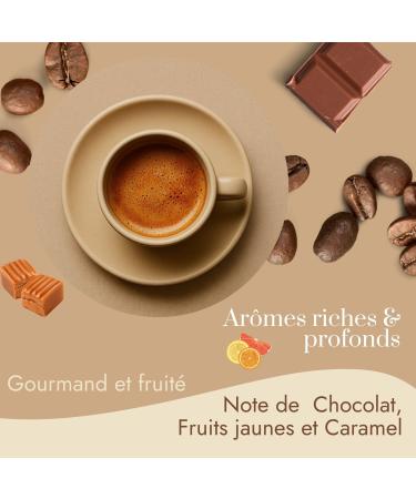  cafe bonnac Caf Bonnac Santos Tradition Brazil Coffee Bean 500g | 100% Arabica Soft And Round | Notes Of Hazelnut Cocoa And Cereals | - Buy Online on GoSupps.com