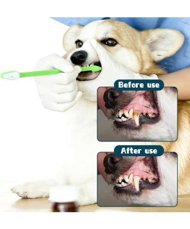 KALIONE 10 Pieces Dog Tooth Brushing Kit Dual-Head Pet Toothbrush Multi-Color Cat Toothbrush Portable Toothbrush for Dogs Soft Tooth Brushing Kit for Dog Cat Pet Teeth Cleaning and Dental Care - Buy Online on GoSupps.com