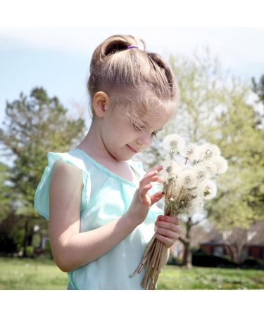 Cooetr 100 Pieces Baby Hair Elastics Elastics for Children Multicoloured Girls Hair Elastics Small and Soft Hair Girls Ponytails for Girls (Purple) - Buy Online on GoSupps.com