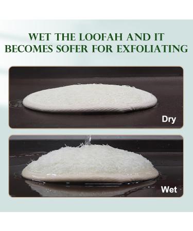 Natural Luffa Body Cloths (6 Pack) - Gentle Skin Peeling & Cleansing Sponge Pads for Sensitive Skin - Eco-Friendly eCommerce Shipping Worldwide - Buy Online on GoSupps.com