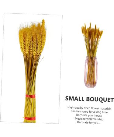 TOPBATHY Wheat Ear 100pcs Dried Wheat Ears Bouquet Props Dried Flowers. Desktop Wheat Ears Decor Yellow 52X10CM - Buy Online on GoSupps.com