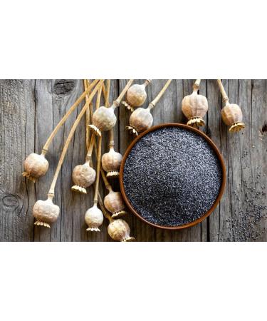 Blue Poppy Seeds 1Kg | A2 Bakers Grade | Mechanically cleaned and packed Raw Blue Poppy Seeds | Non-GMO | Suitable For Vegan/Vegetarian and Halal - Buy Online on GoSupps.com