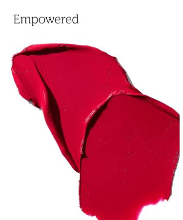 PDL Cosmetics Bold Aspirations Liquid Lipstick (Empowered) - Burgundy Matte Finish | Long Lasting, Hydrating Formula - Vegan & Cruelty-Free - Buy Online on GoSupps.com