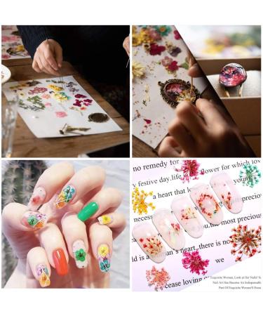 Multi-Colored Dried Flower Nail Art Set - 3 Boxes for Resin Jewelry & DIY Crafts - Buy Online on GoSupps.com