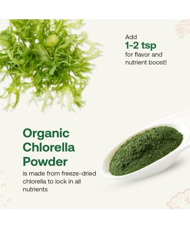 Quay Naturals Organic Chlorella Powder 4oz Freeze-Dried Non-GMO Gluten-Free Broken Cell Wall Rich in Chlorophyll & Plant-Based Nutrients Smoothie Booster 100% Pure & USDA Organic. - Buy Online on GoSupps.com