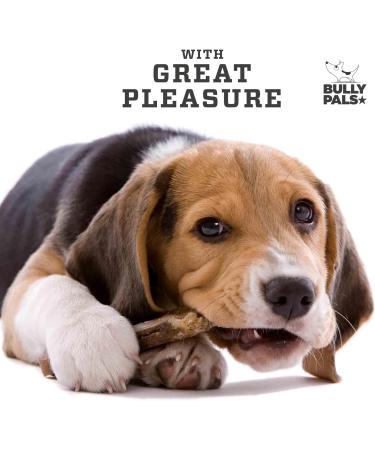 BULLY PALS - 6 inch Beef Collagen Sticks - Dog Dental Chew - 12 Pack - Odour Free Rawhide Free Long Lasting All Natural Protein Rich for Small to Medium Dogs 1 count (Pack of 12) - Buy Online on GoSupps.com