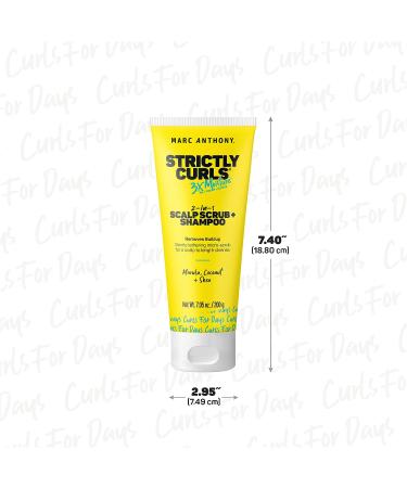 Marc Anthony Strictly Curls 2-in-1 Scalp Scrub and Shampoo - Deep Cleansing Shampoo for Curly Hair with Coconut Oil, Marula Oil, Shea Butter & Bentonite Clay - 7.05 Oz - Buy Online on GoSupps.com