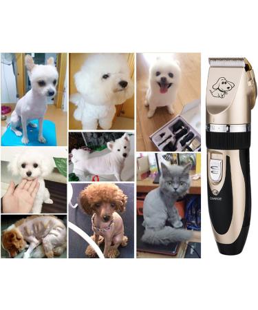 Otstar Dog Clippers Rechargeable Cordless Dog Grooming Clipper Kit for Dogs Cats and Other Animals with Stainless Steel Comb and Scissors Low Noise Low Vibration Dog Shaver (Black and Gold) - Buy Online on GoSupps.com